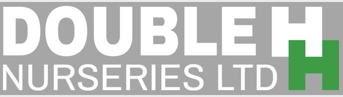 Double-H-Logo25a